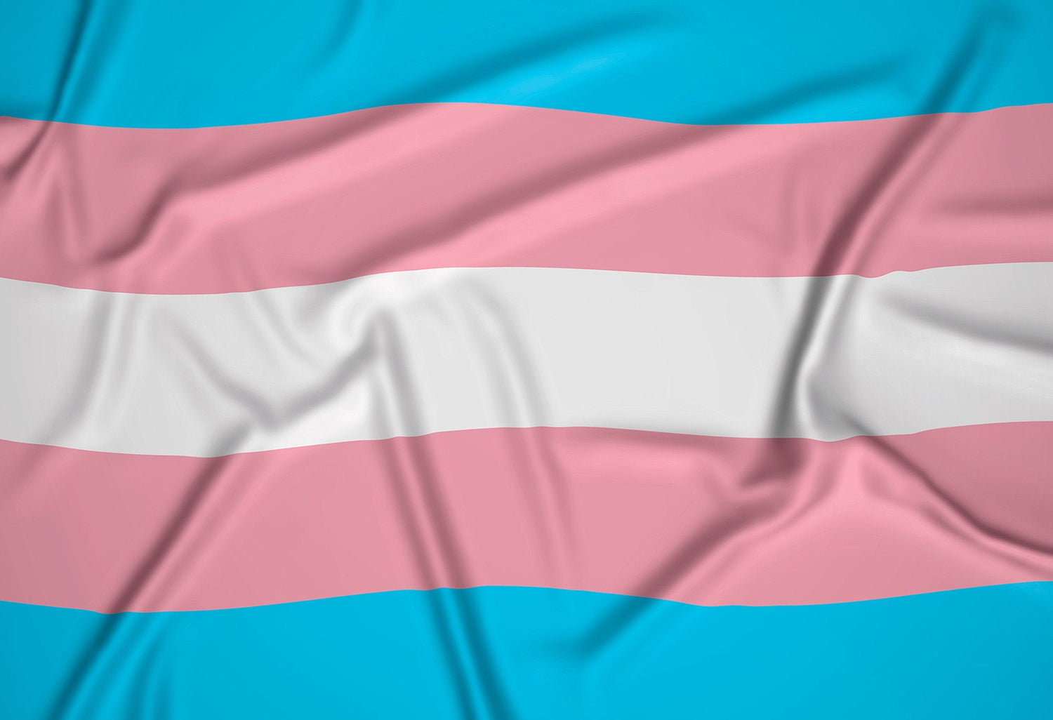 What we owe the trans community