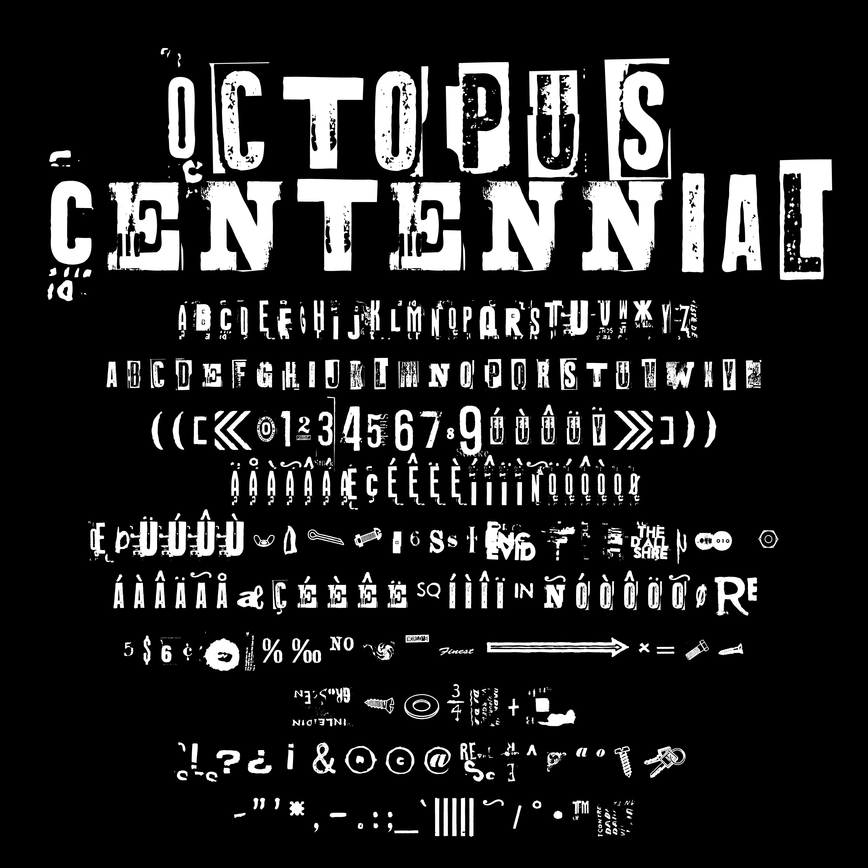 Octopus